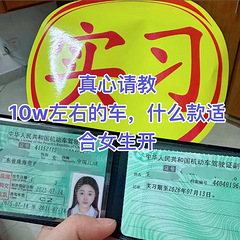 新手驾到