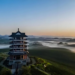 茶海观心