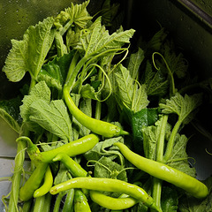 好吃