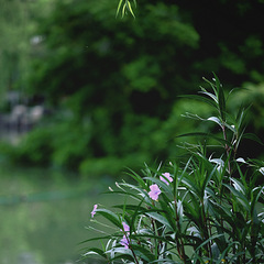 7月23日下午好