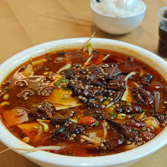 去学校食堂吃川菜，价格实惠味道赞