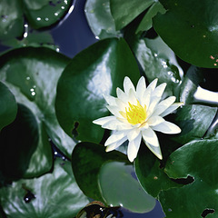 8月5日下午好