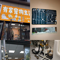 一个错误的决定让我痛失我的大小宝贝喵们~~