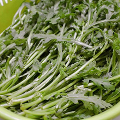香喷喷的茼蒿菜饭