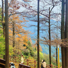 这个秋天去哪里