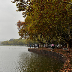 梧桐更兼细雨，到黄昏，点点滴滴。