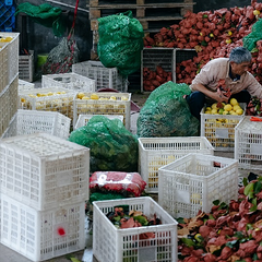 拼多多发布Q3财报，陈磊：以社会责任为先，开启平台发展的新十年