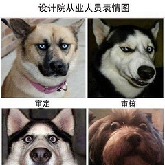 设计院从业人员表情图.