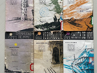 阿拉伯少年惊险小说