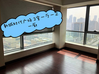 滨江新城时代广场房子出租