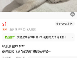 领养猫咪