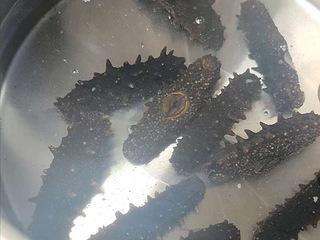 出租越秀星汇花园车位
