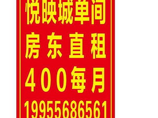 杭州临安九州街地铁口悦映城房屋出租