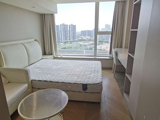 2号线振宁路地铁站 奥体华悦城 朝东落地窗