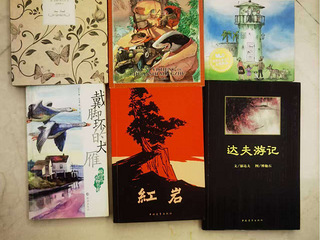 基本全新的闲置书转让，每本3元。