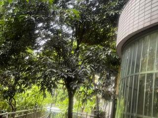 文杰心海湾主卧出租
