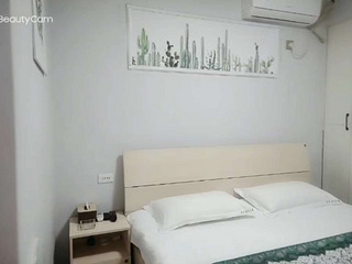 龙湖新壹城平层出租