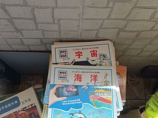 1-6年级各类课外书，9.9新