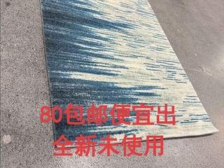 门厅地毯防滑耐磨地垫，全新无暇