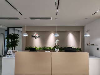 雷格斯-两江新区