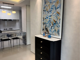 臻棠樾府一室一厅豪华装修出租