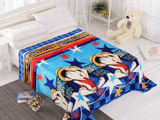 全新 冬款法兰绒床单15元 亏本处理