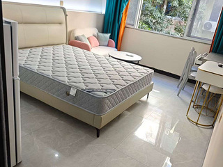 温州村，整租，独门独户单身公寓，一室一厨一