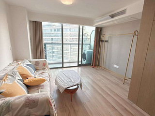 奥莱金街 整租二房