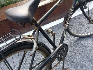 捿安特自行车低价出售