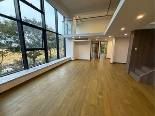 西湖区之江度假区4房3卫255平方精装LOFT出租
