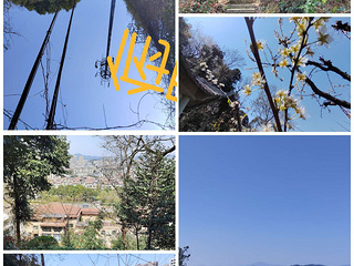 芋庄公寓出租：