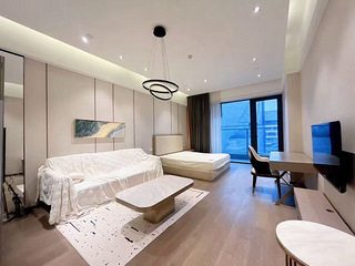 精装一室一厅公寓