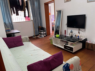 南坪四小区 团圆堡2室房租出租