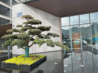 本人房东直租，富阳桂语新月里直租