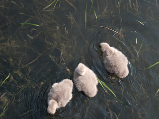 收1月9日嘉兴vs丽水的浙ba门票