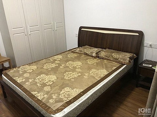 文二路下宁桥地铁站精装双南房出租