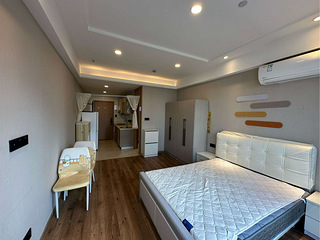 金沙湖地铁口 一室一厅 民用水电 押一付一 房东直租