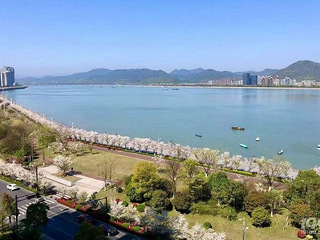 杭州滨江江景房太香了