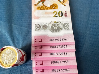 出刚领的马年纪念币纪念纱