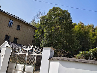 鸬鸟镇前庄村房子出租