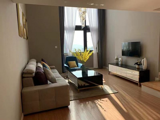 业主本人出租，滨江宝龙城市广场旁整套一室二厅，随时看房