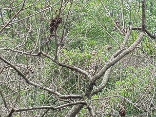 杭州市滨江区长河街道风雅钱塘8幢1单元401室