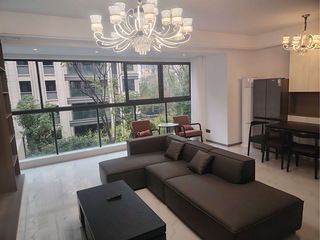 高新曾家，捡漏，龙湖纯洋房，豪装四室两厅两卫一露台低价出租！