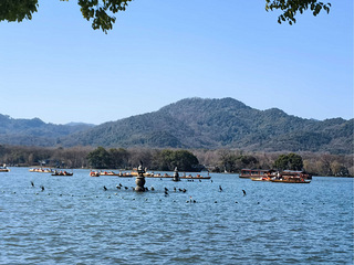 莫干新村房子出租