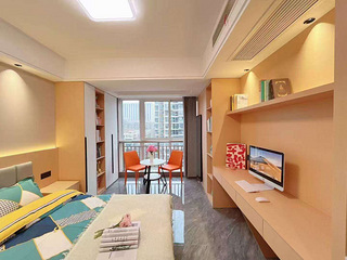 1号线金沙湖地铁口 300m 精装一室一厅 