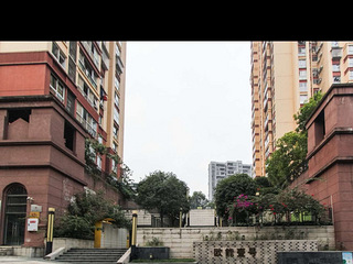 巴南区 李家沱 精装房