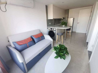 湘和国际公寓出租