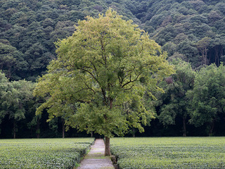 杭州滨兴家园出租一个地下停车位