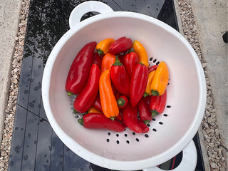 西湖区房东出租75方，2900元/月