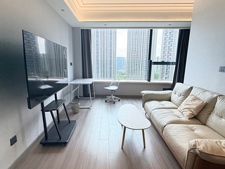 4号线城星站钱江国际时代广场65方一室一厅精装公寓